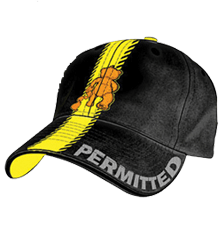 DUMPING PERMITTED