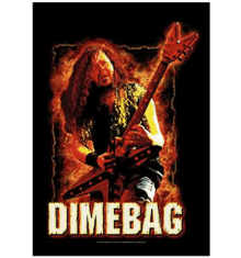DIMEBAG DARRELL - FIRE